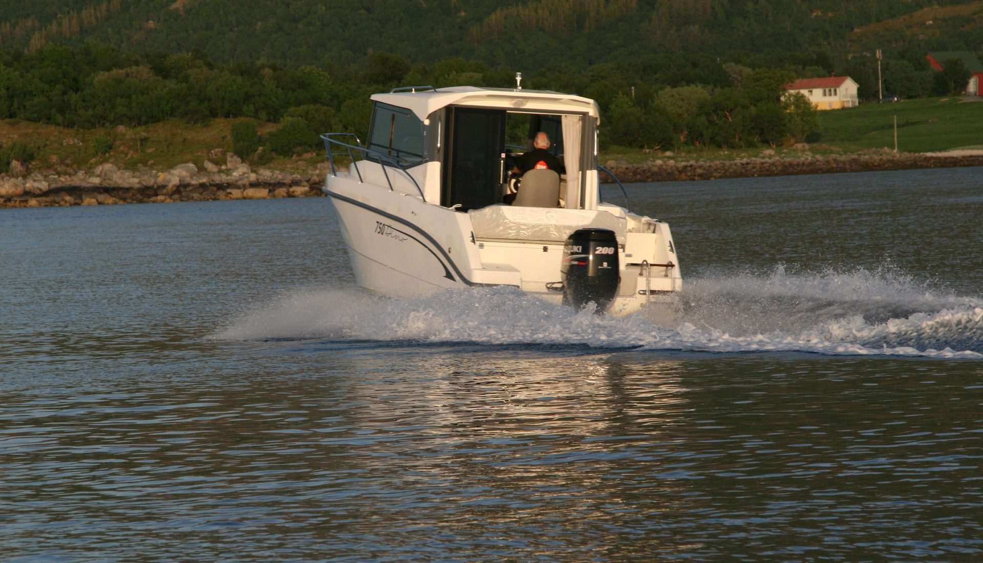 dino261