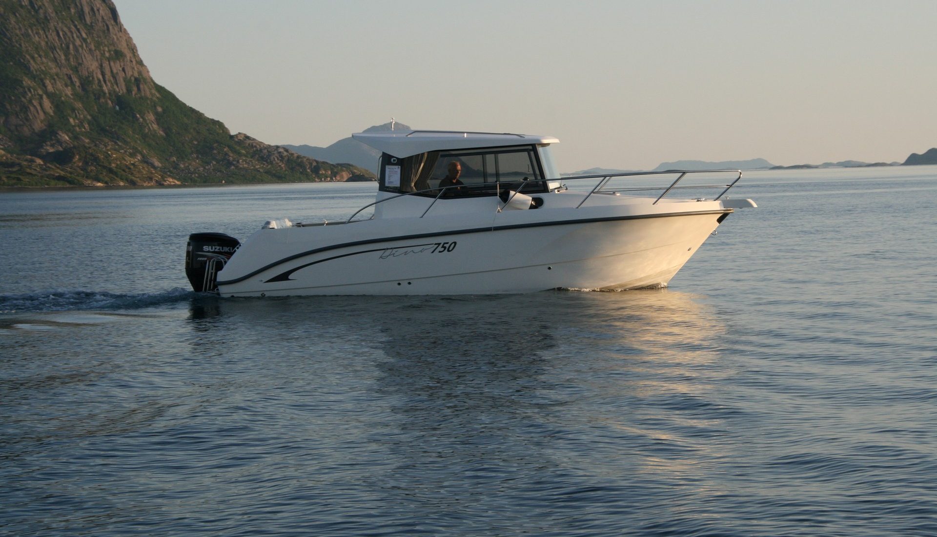dino267