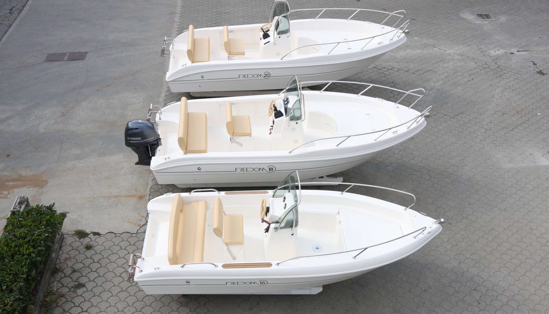 freedom161